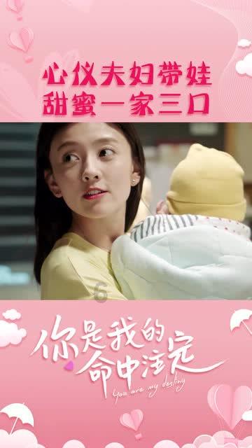 腐草化萤