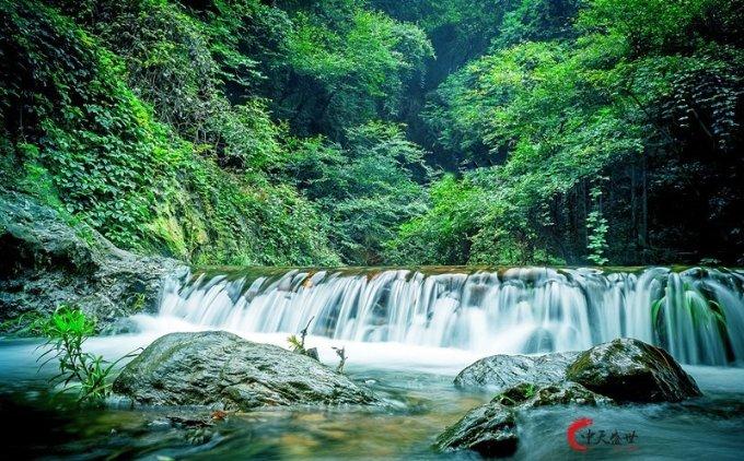 精准答疑平台-这个游戏名字叫什么?,为您解疑答惑
